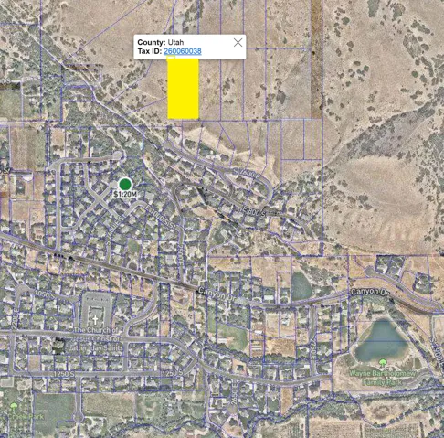 Geographic Information System (GIS) Map. Displaying property boundaries and tax identification for the specified county