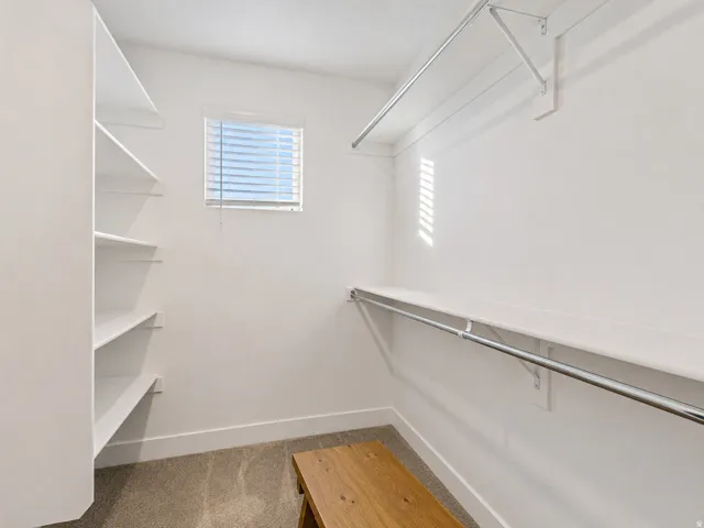 Walk-in closet featuring built-in shelving, chrome hanging rods, a single window with horizontal blinds, and neutral carpet flooring