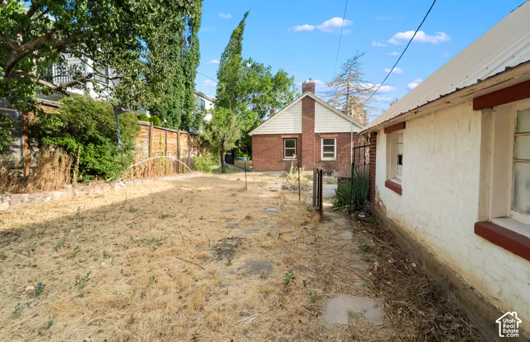 The back yard looking south towards the house.