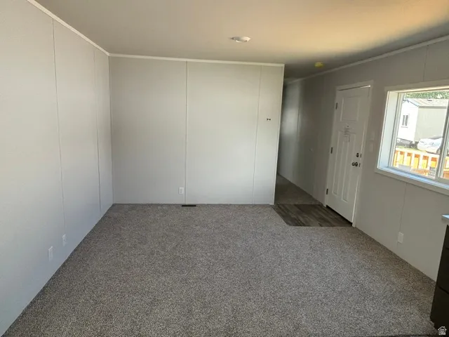 Inviting living area featuring light gray textured walls and a plush gray carpet