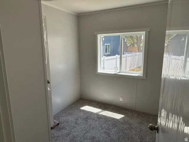 Room with light gray walls and plush gray carpeting