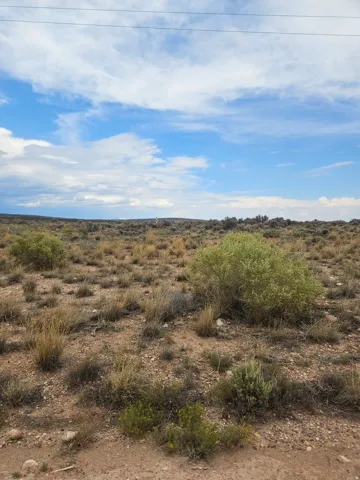 Expansive desert landscape featuring natural rock and varied scrub brush
