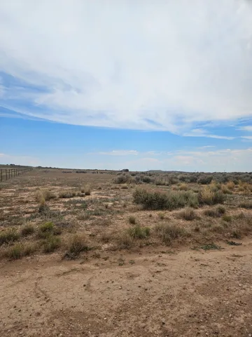 Expansive undeveloped land featuring natural vegetation and a distant fence line