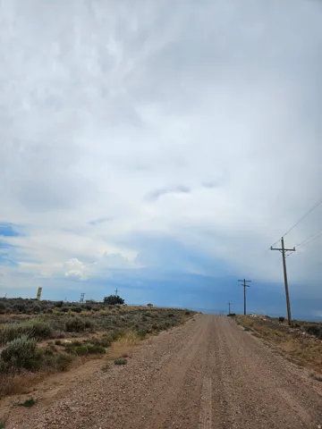 Gravel road extending into the distance, flanked by natural shrubbery and utility poles