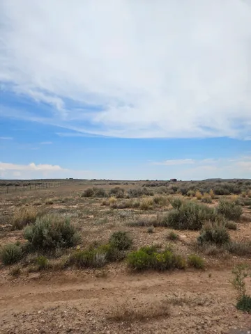 Expansive open terrain featuring scattered brush and a distant wire fence under a broad sky