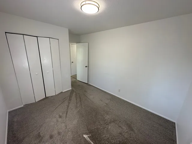 Bright interior space featuring neutral wall paint, ceiling-mounted light fixture, grey carpet, and a bi-fold closet