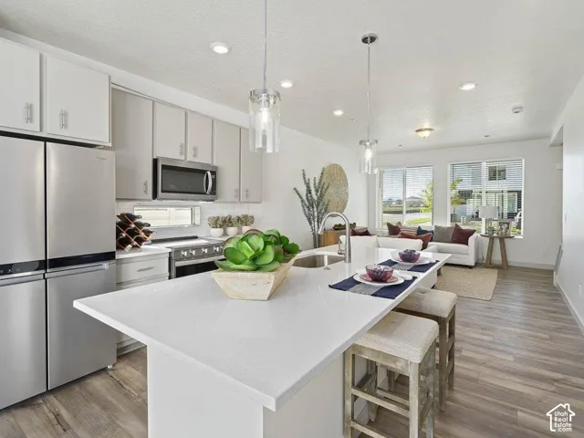 Modern kitchen featuring an island with a stainless steel sink, sleek white countertops, light gray cabinetry, and integrated stainless steel appliances