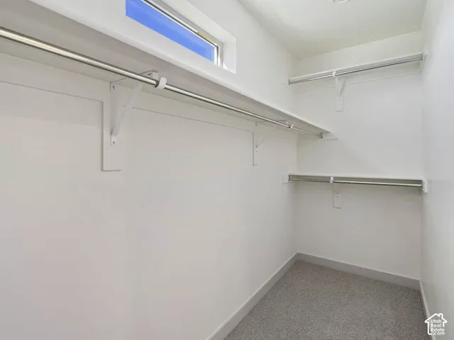 Walk-in closet featuring multiple shelving units with hanging rods, a high clerestory window, light grey carpeting, and white painted walls