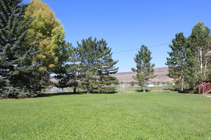 Yard