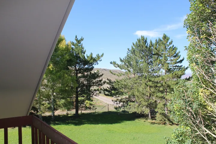 Expansive outdoor space featuring a manicured lawn, mature trees, and a distant hillside