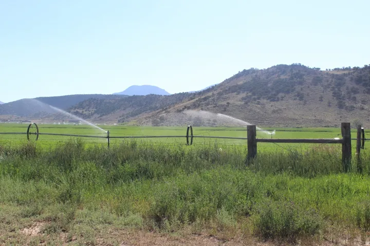 Expansive green fields with active irrigation systems