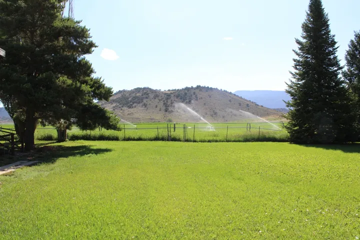 Expansive green lawn with mature evergreen trees and a distant mountain backdrop
