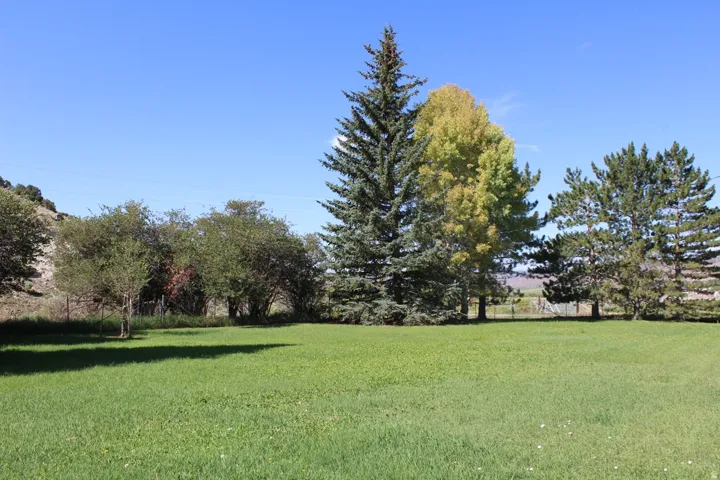 Expansive lawn area featuring a variety of mature trees and distant hillside