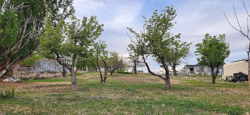 Expansive grassy lot featuring multiple mature trees and a fenced boundary