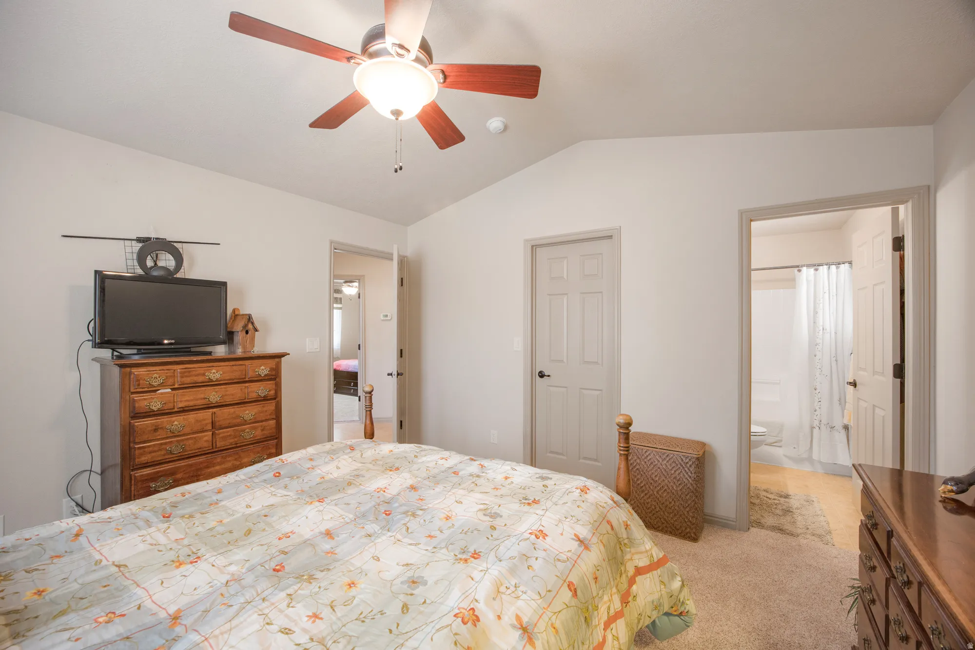 Vaulted ceiling with a ceiling fan light fixture, neutral wall paint, and soft carpet flooring