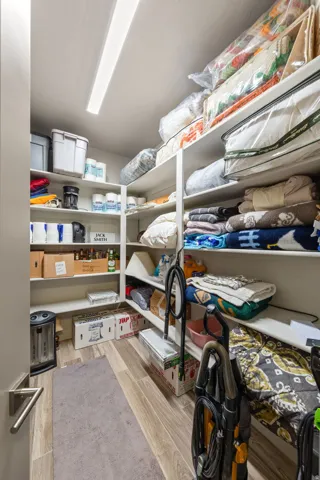 Dedicated storage space featuring extensive built-in shelving, wood-finish flooring, and integrated ceiling lighting