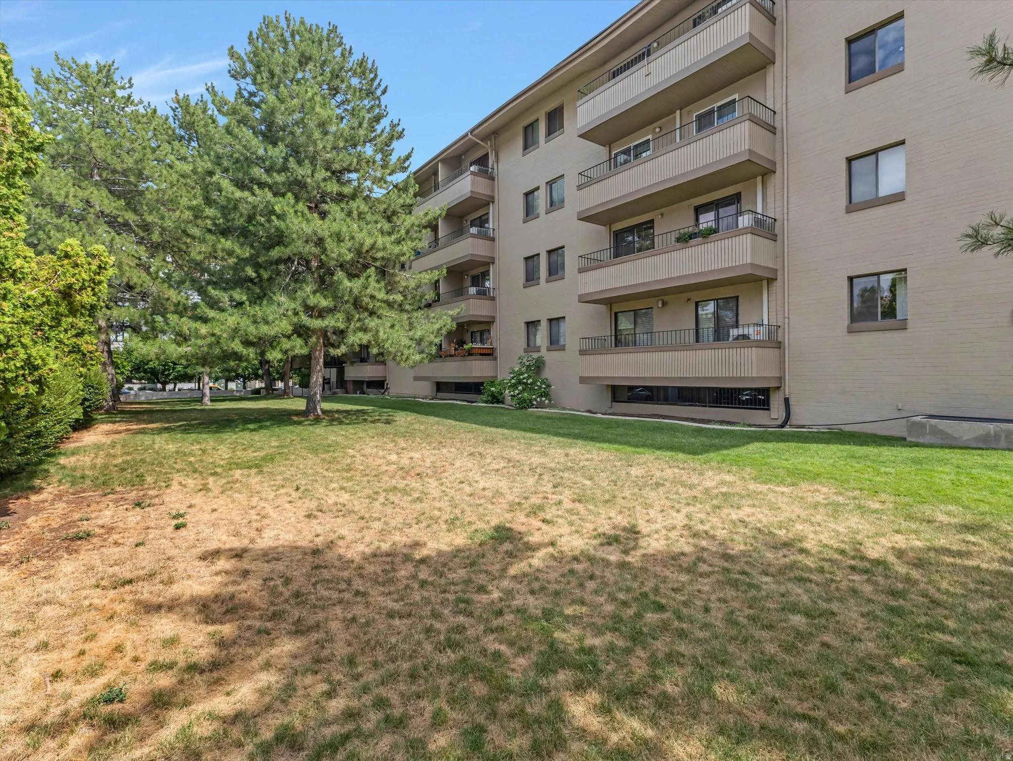 Big yard space!
