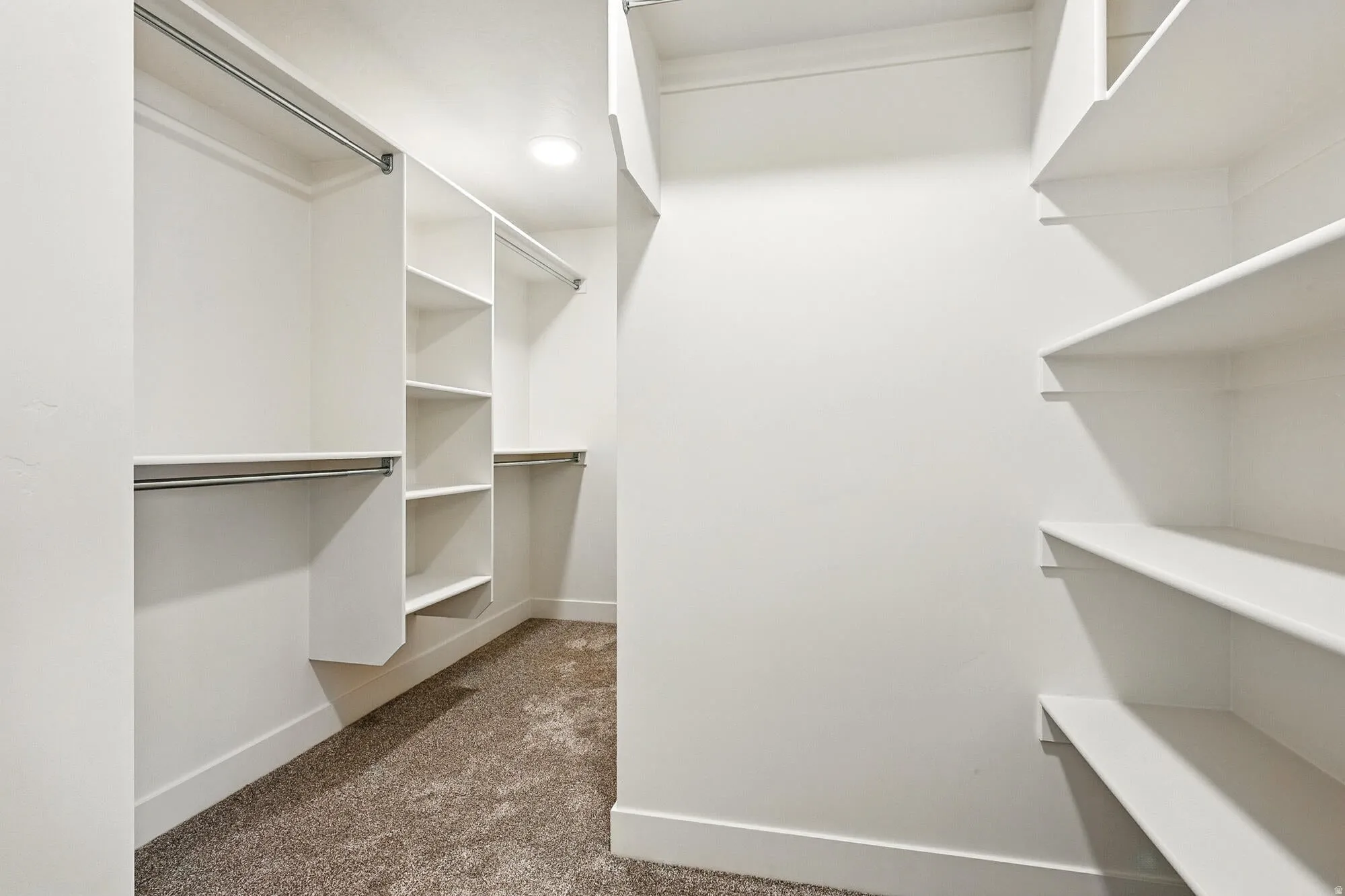 Spacious walk-in closet featuring white built-in shelving, chrome hanging rods, recessed ceiling lighting, and carpet flooring