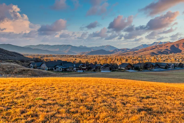 Expansive golden-hued field framed by distant mountains and a residential community