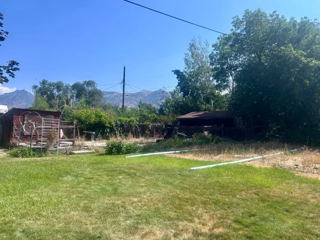 Old cement pad in the back corner (once had a chicken coop and cellar on it) plus a shed