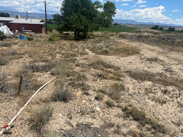 Stakes in the ground to show North boundary.