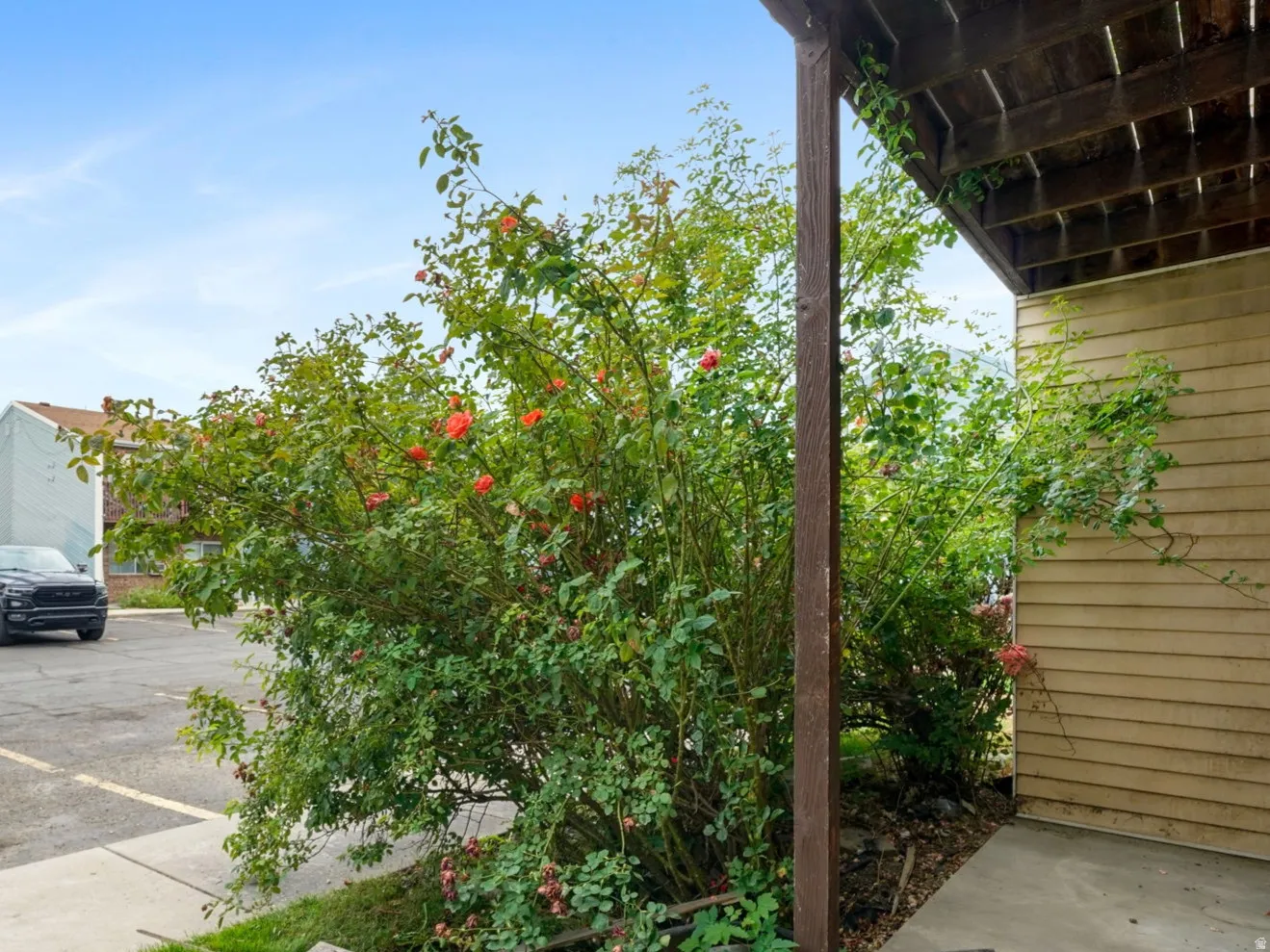 Concrete patio area accompanied by lush green foliage and mature shrubs