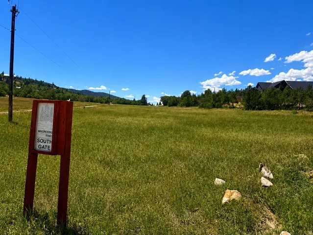Expansive open field featuring natural grasses and scattered rock elements