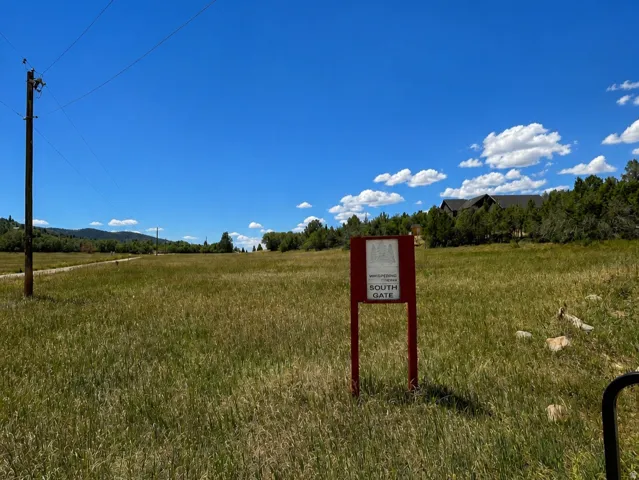Expansive open field featuring natural grasses and distant treeline