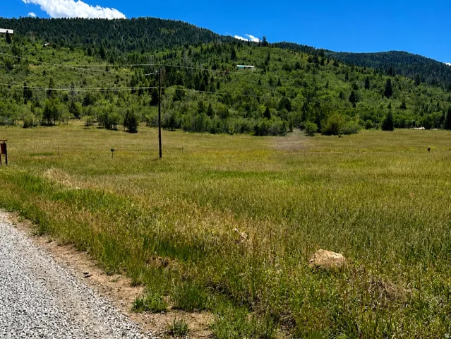 Expansive grassy field with a backdrop of a tree-covered mountain