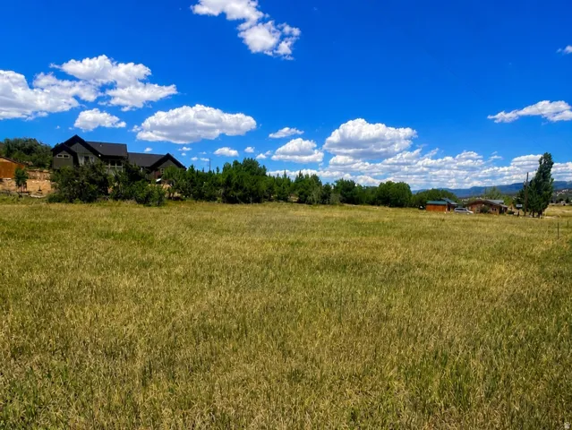 Expansive open space featuring natural grass, distant residential structures, and mature trees under a vast blue sky