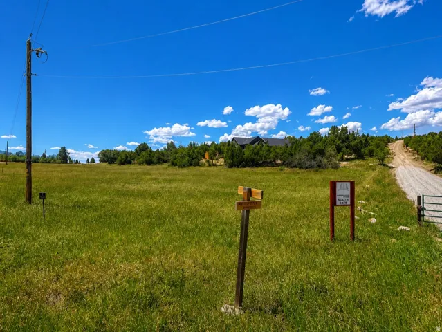 Expansive grassy field with a clear blue sky, featuring a dirt road, distant residential structure, and natural landscaping