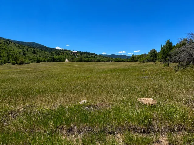 Expansive open field with natural vegetation and distant rolling hills