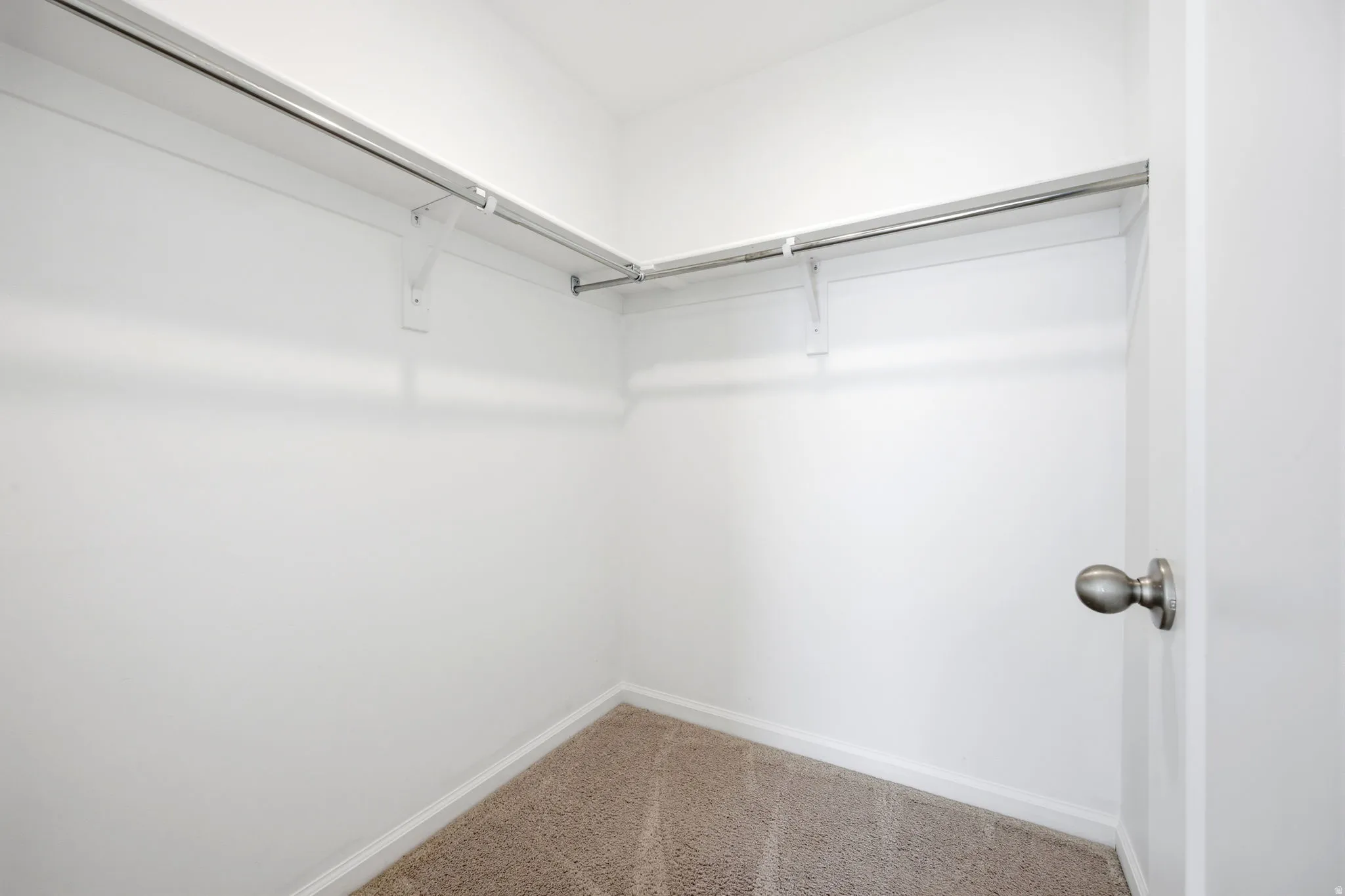 Walk-in closet with carpet flooring, white walls, and built-in shelving with hanging rods