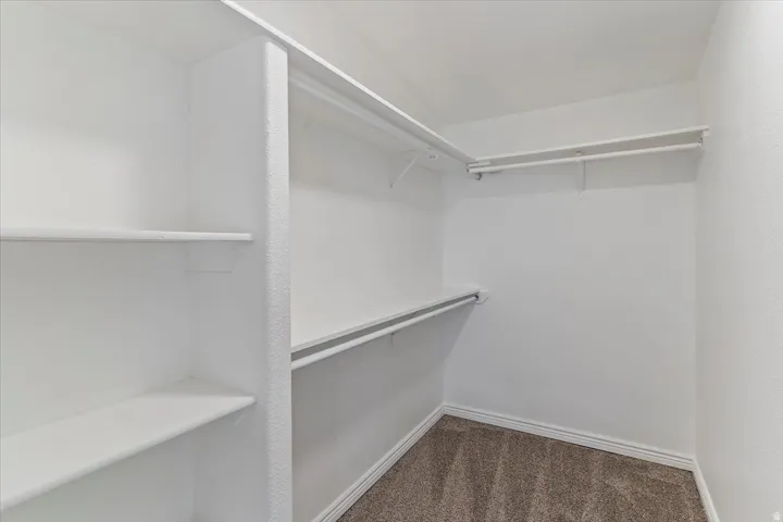 Walk-in closet with built-in shelving, multiple hanging rods, white trim, and neutral-toned carpet flooring