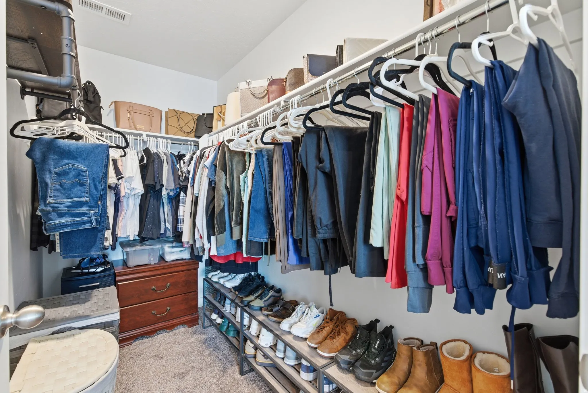 Walk-in closet featuring carpet flooring, built-in shelving, and clothes hanging rods
