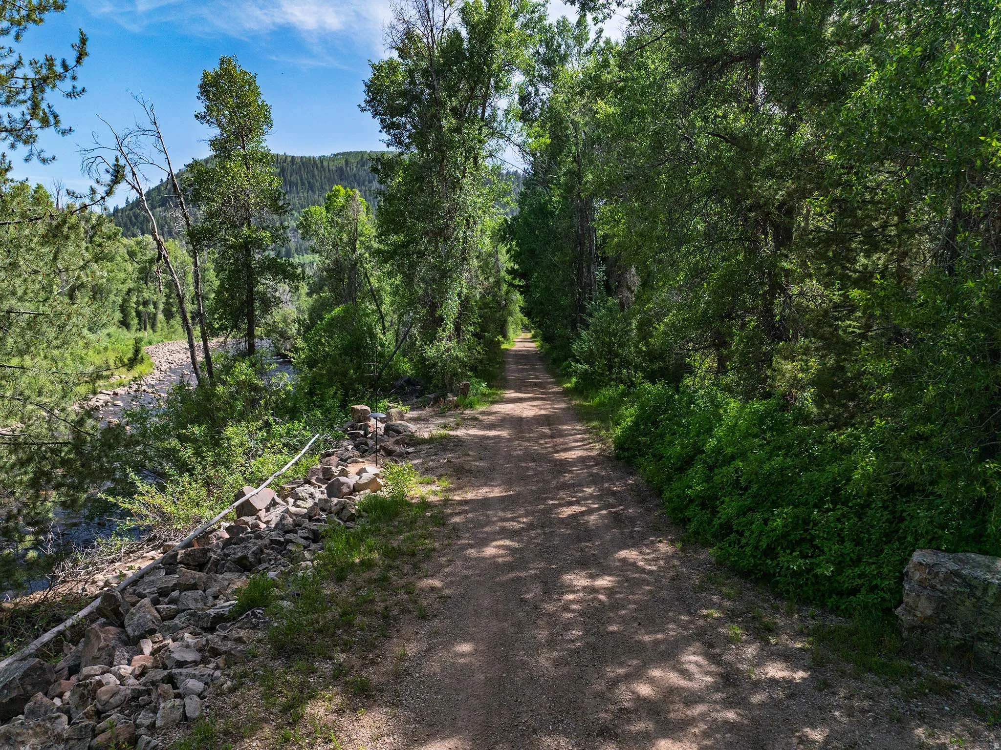 Gravel path bordered by dense foliage and mature trees, with a natural waterway running alongside