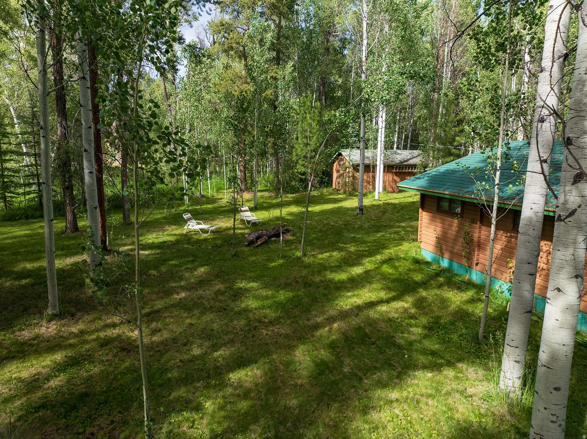 Wood-sided cabins with green shingle roofing, set among mature trees and a grassy yard