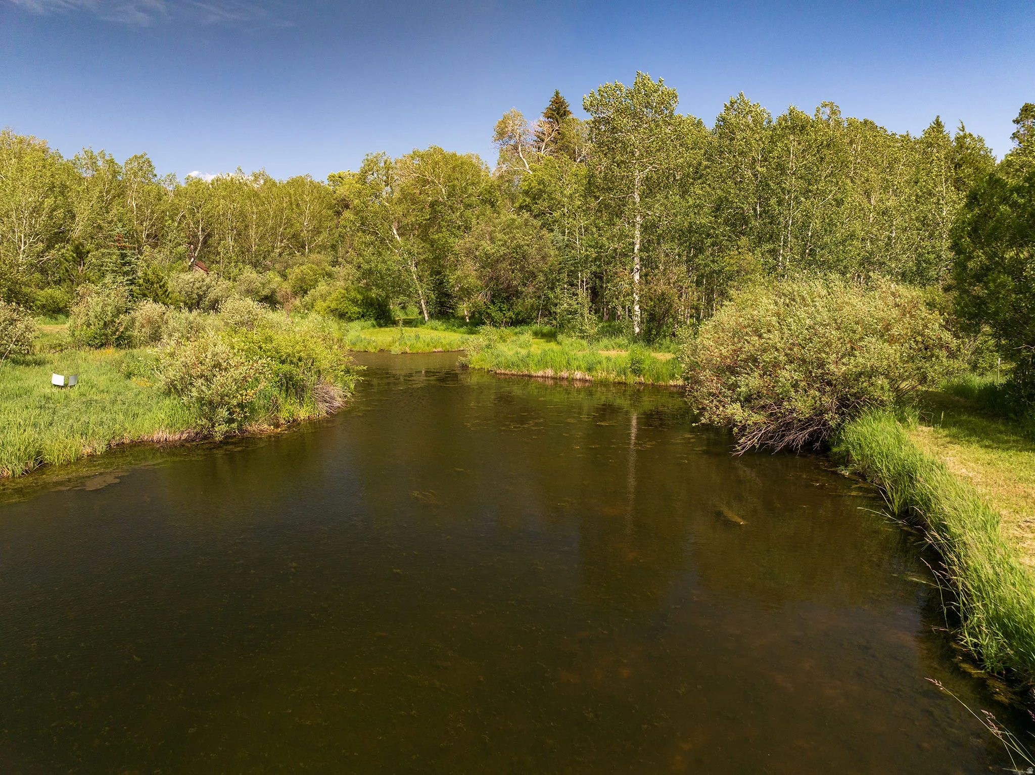 Natural water feature surrounded by lush green foliage and mature trees