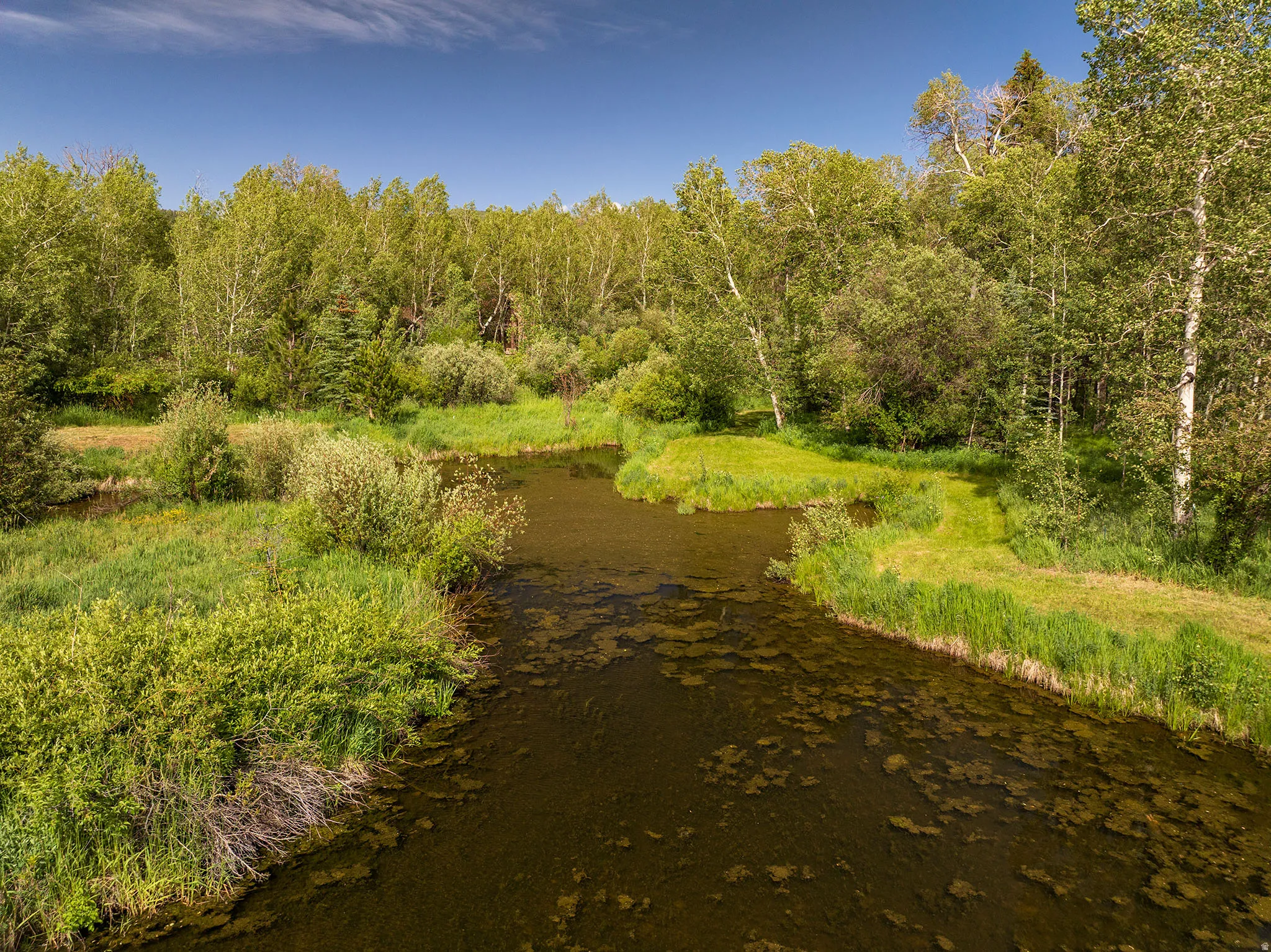 Natural water feature with surrounding lush green vegetation