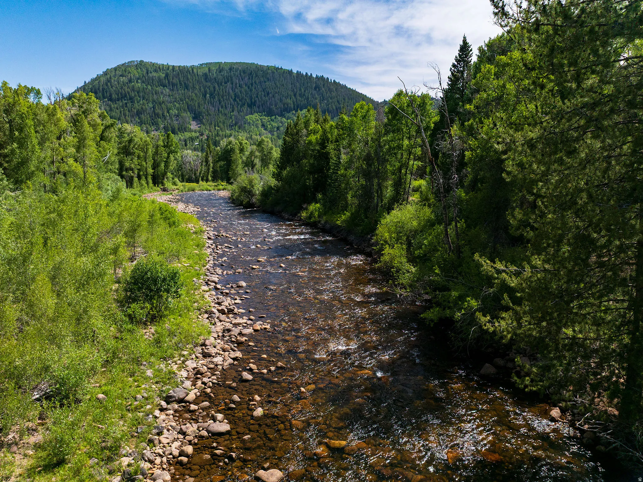 Rocky riverbed with clear water surrounded by lush green foliage and mature trees, featuring a distant forested mountain