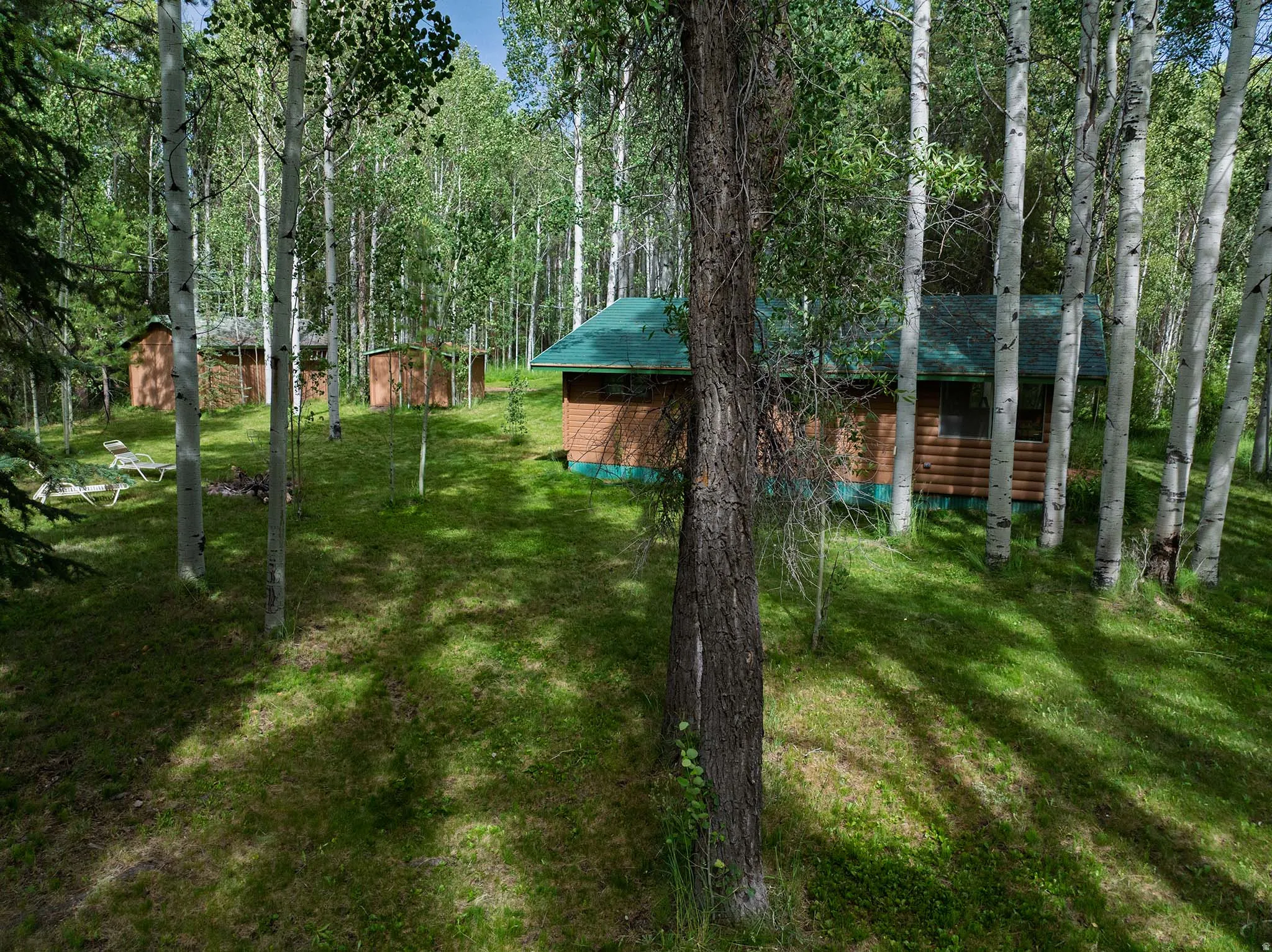 Wood cabin with green roof set among numerous mature trees