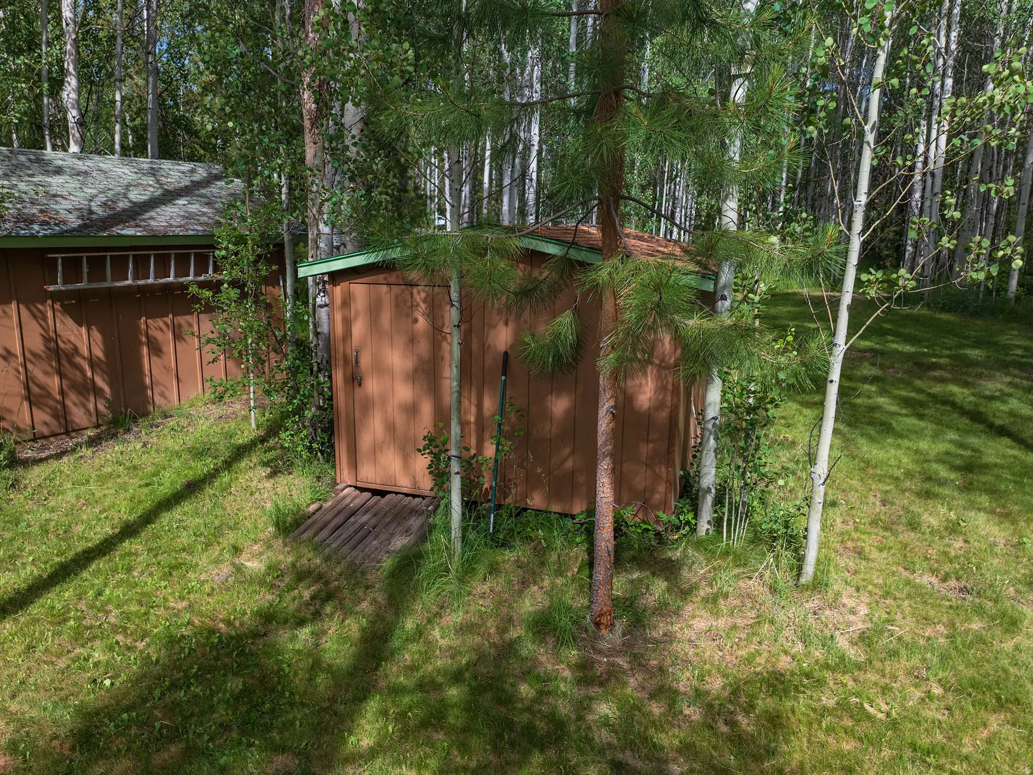Freestanding storage shed with a wooden door and green trim, set within a natural, wooded environment