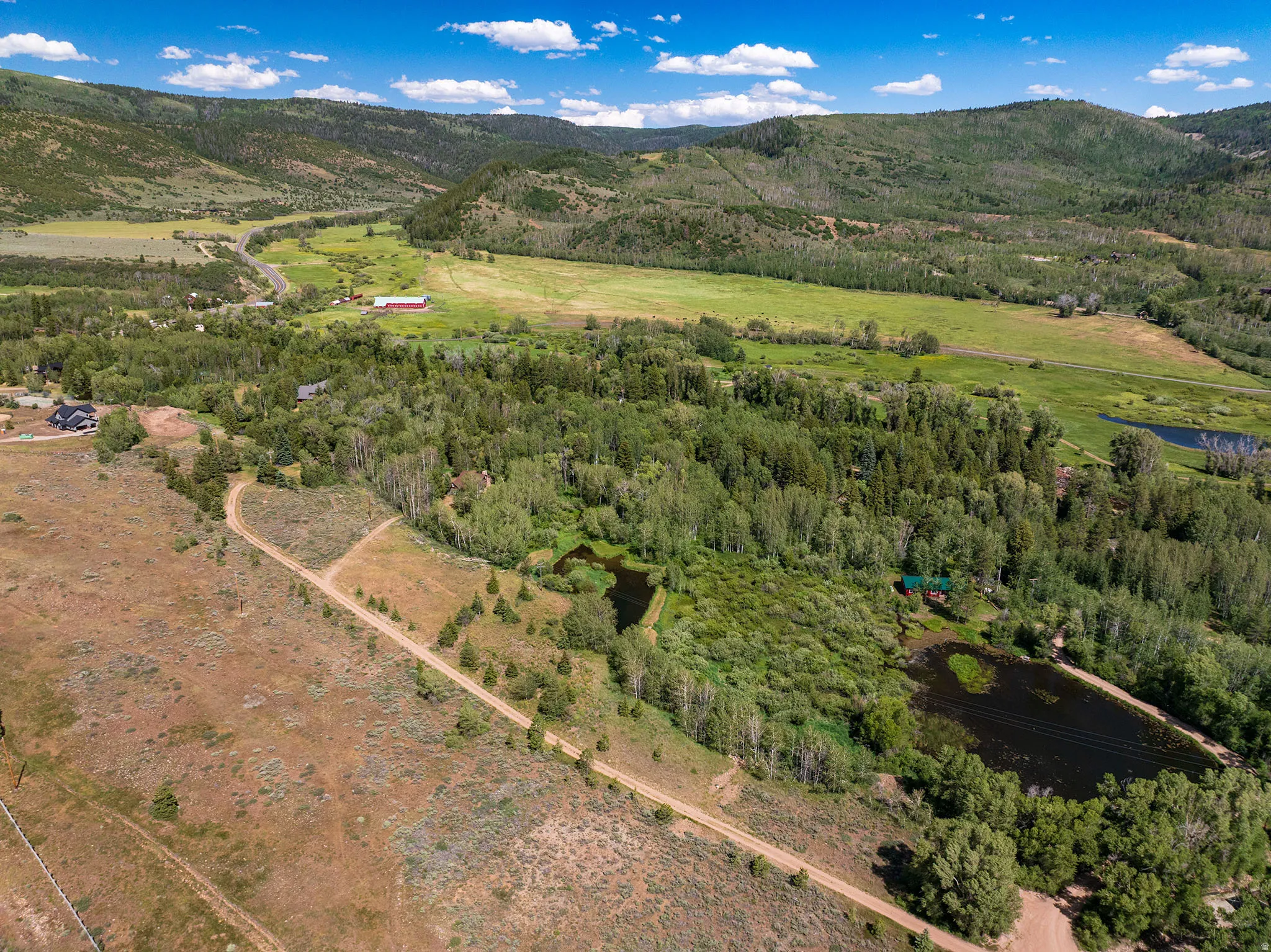 Expansive natural landscape featuring lush green fields and dense forests