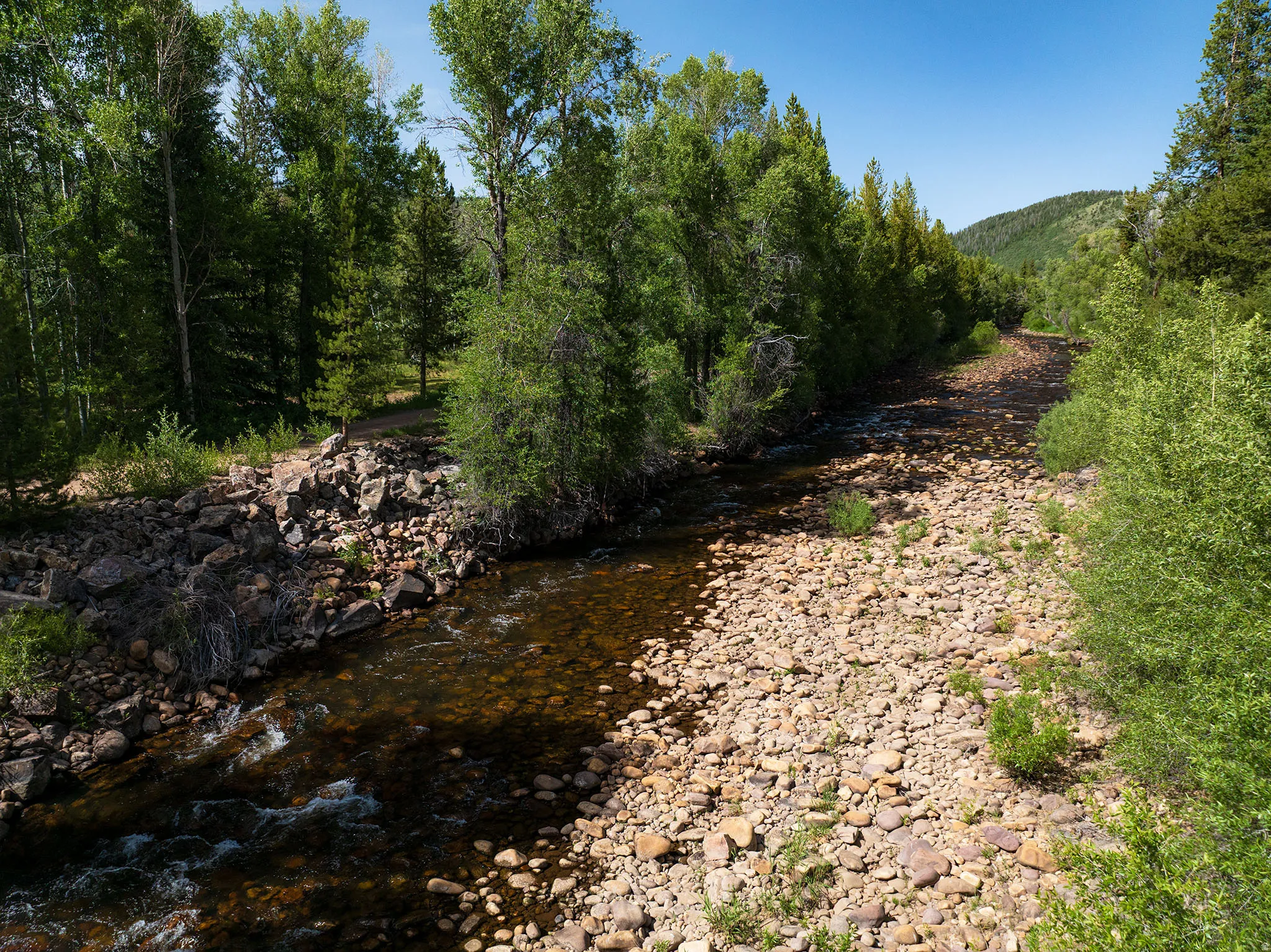 Natural water feature with a rocky bed, surrounded by mature trees and lush greenery