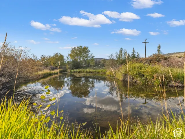 Natural water feature surrounded by dense vegetation