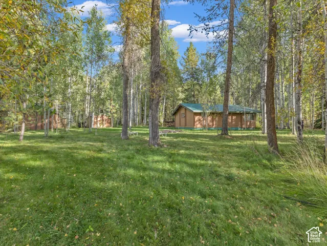 Wood-sided cabin featuring a green roof, covered porch, and surrounding mature trees on a grassy lot