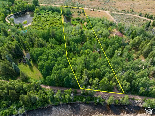 Expansive acreage bordered by a dirt road and water features