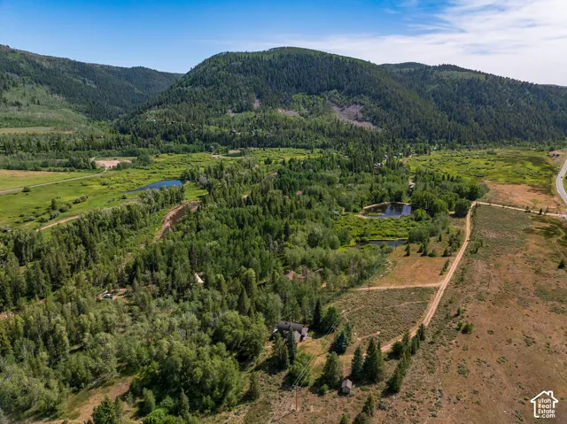 Expansive natural landscape featuring dense tree coverage, a meandering river, and multiple ponds