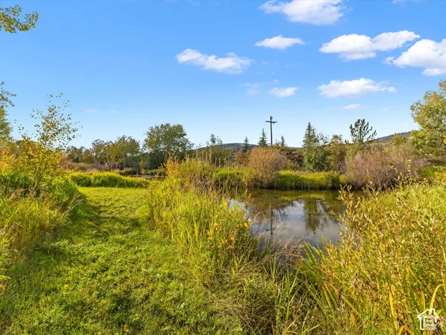 Pond feature surrounded by natural landscaping and mature trees