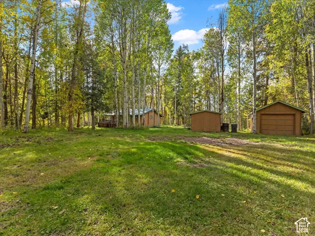 Expansive grassy area surrounded by mature trees, featuring a detached garage with a single bay, an additional shed, and a cabin-style structure with a deck